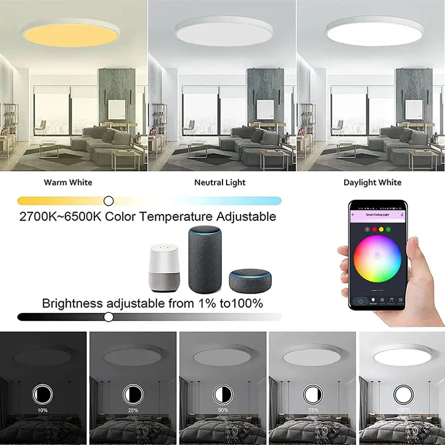 Tuya 24W WiFi Smart Lampe – Vernetzte RGB-Beleuchtung, kompatibel mit Alexa und Google Home